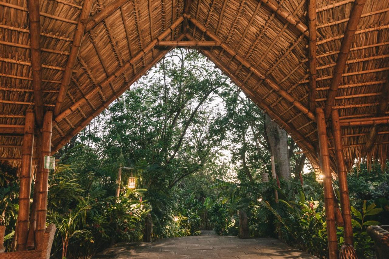 Dreamsea Surf Resort Nicaragua سان خوان ديل سور المظهر الخارجي الصورة