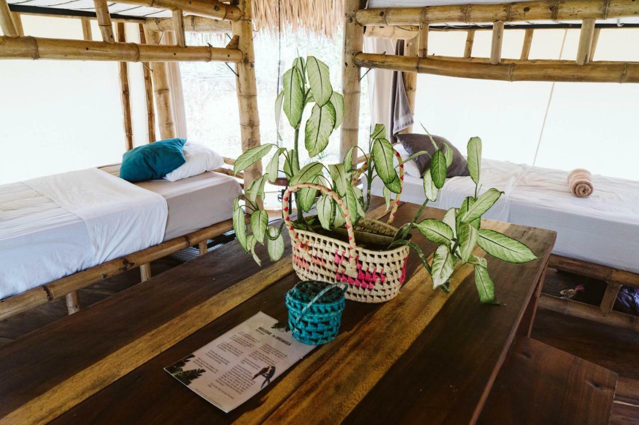 Dreamsea Surf Resort Nicaragua سان خوان ديل سور المظهر الخارجي الصورة
