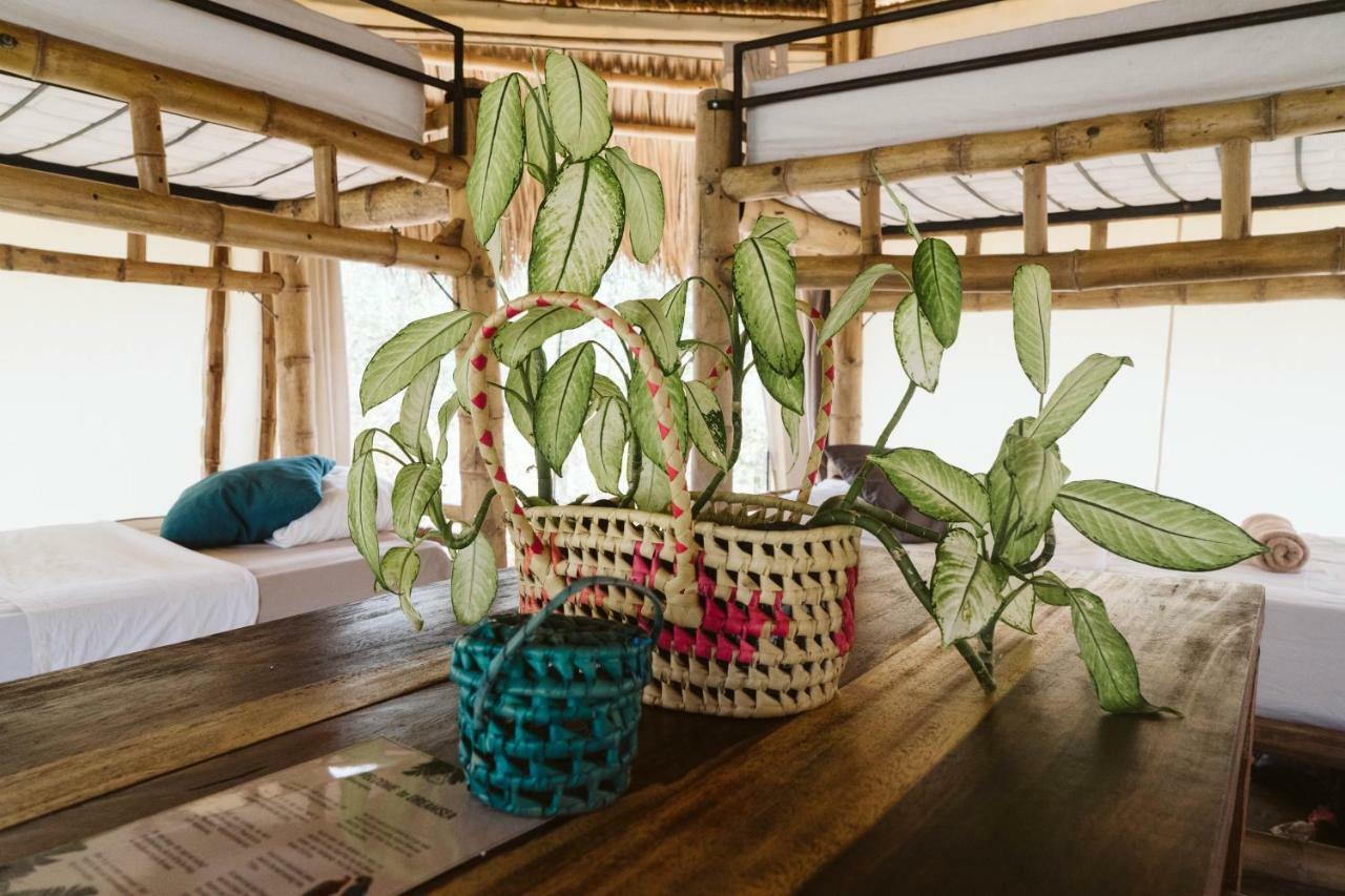 Dreamsea Surf Resort Nicaragua سان خوان ديل سور المظهر الخارجي الصورة