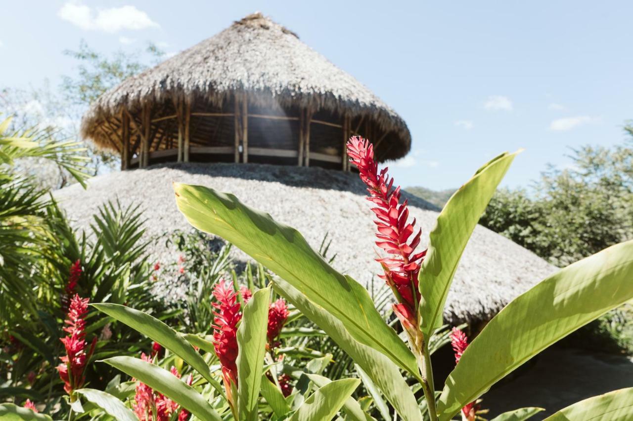 Dreamsea Surf Resort Nicaragua سان خوان ديل سور المظهر الخارجي الصورة