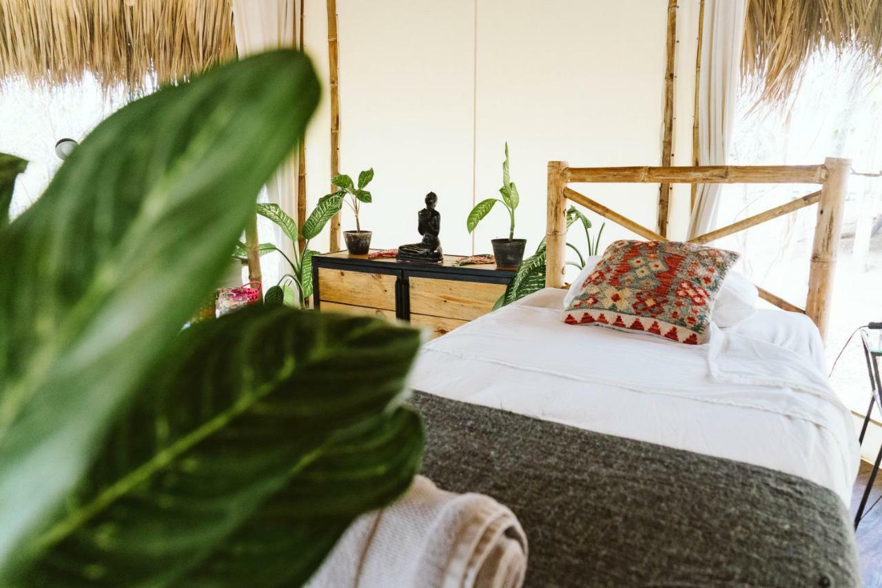 Dreamsea Surf Resort Nicaragua سان خوان ديل سور المظهر الخارجي الصورة